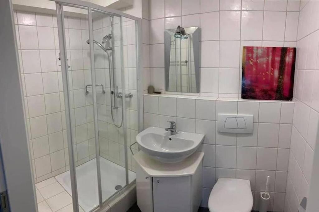 Basel - 5 Mins Away - Modern Basement Studio With Kitchen 35M2 In Muttenz Exteriér fotografie